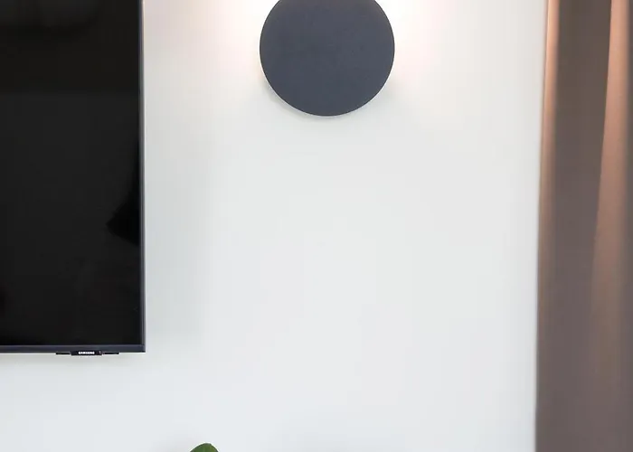 Sigmund Freud Dream * Riga