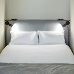 Sigmund Freud Dream * 里加